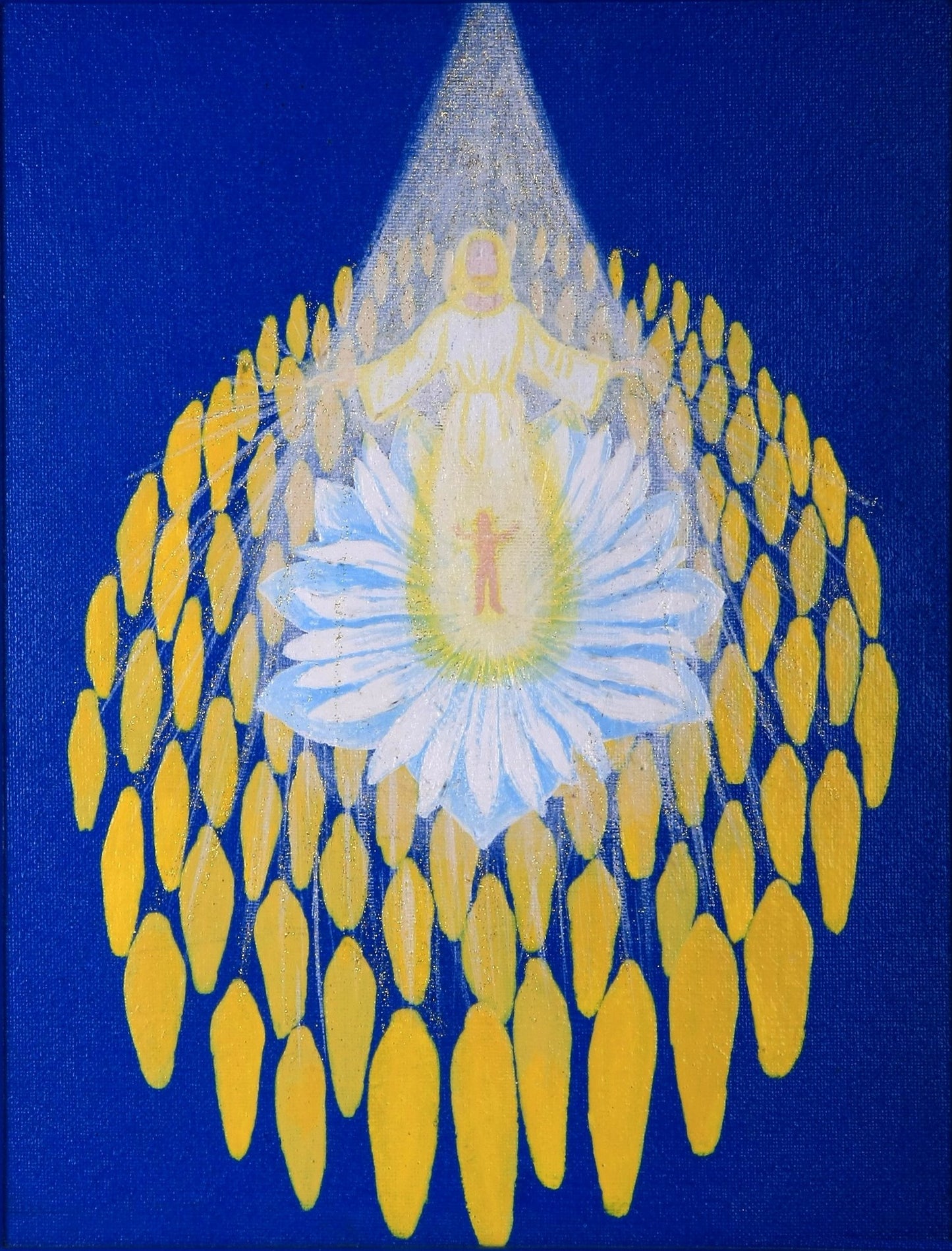 Kniha - Transmisné obrazy